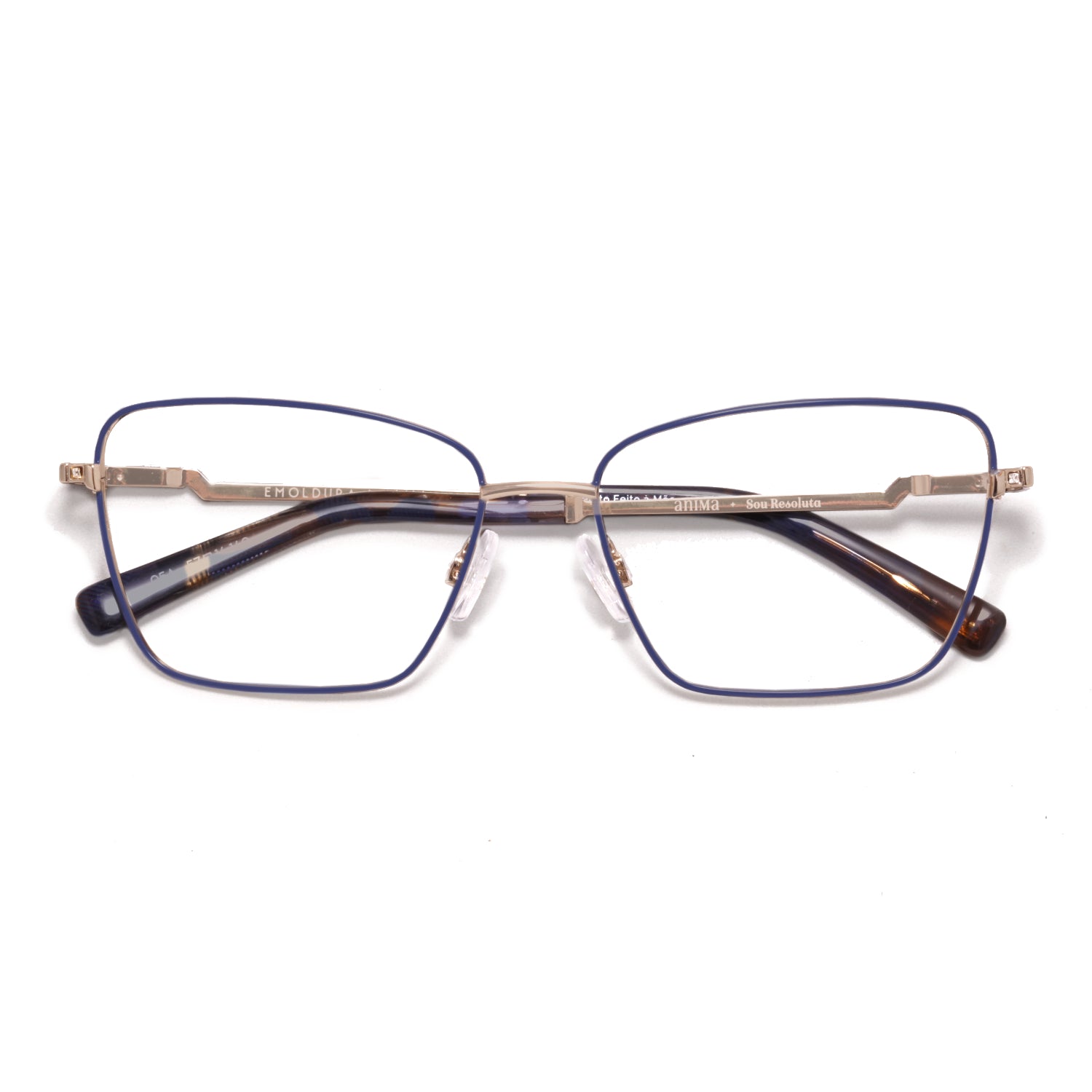 Anima Sou Resoluta 05A