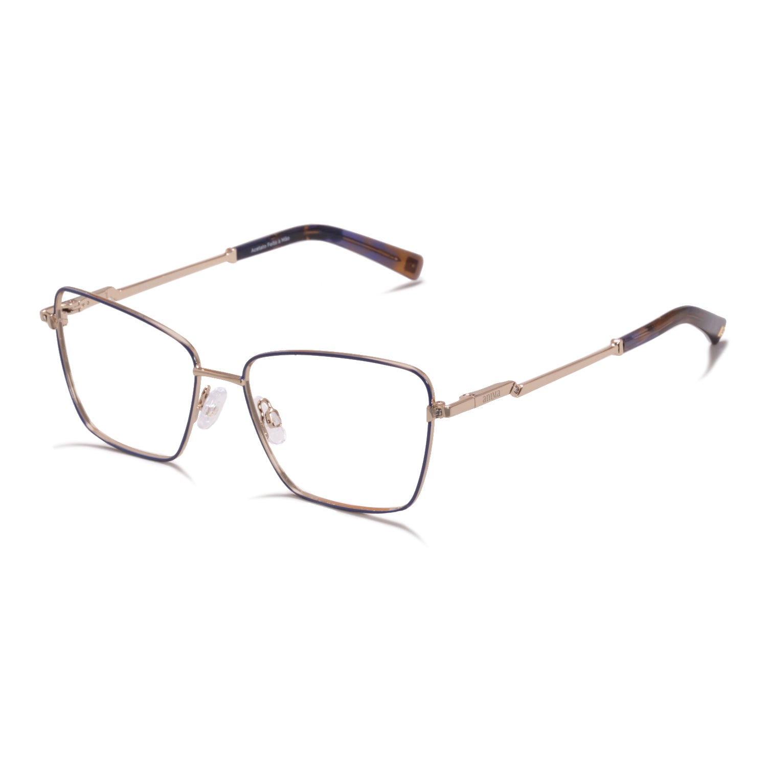 Anima Sou Resoluta 05A