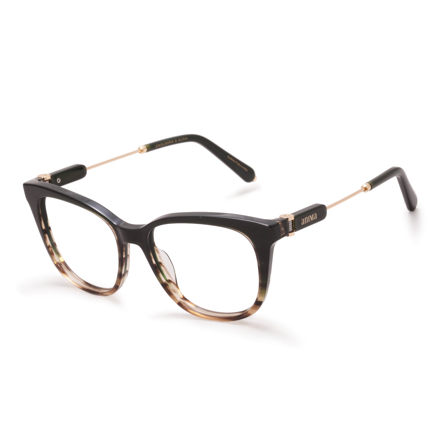 Anima Sou Branda E21