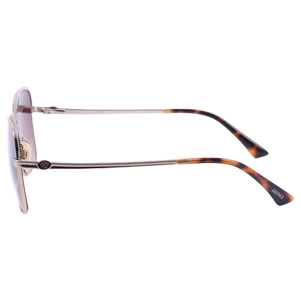 Anima Sou Honesta 04B Sol