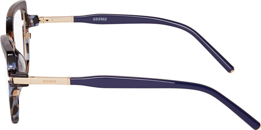 Anima Sou Empática D21